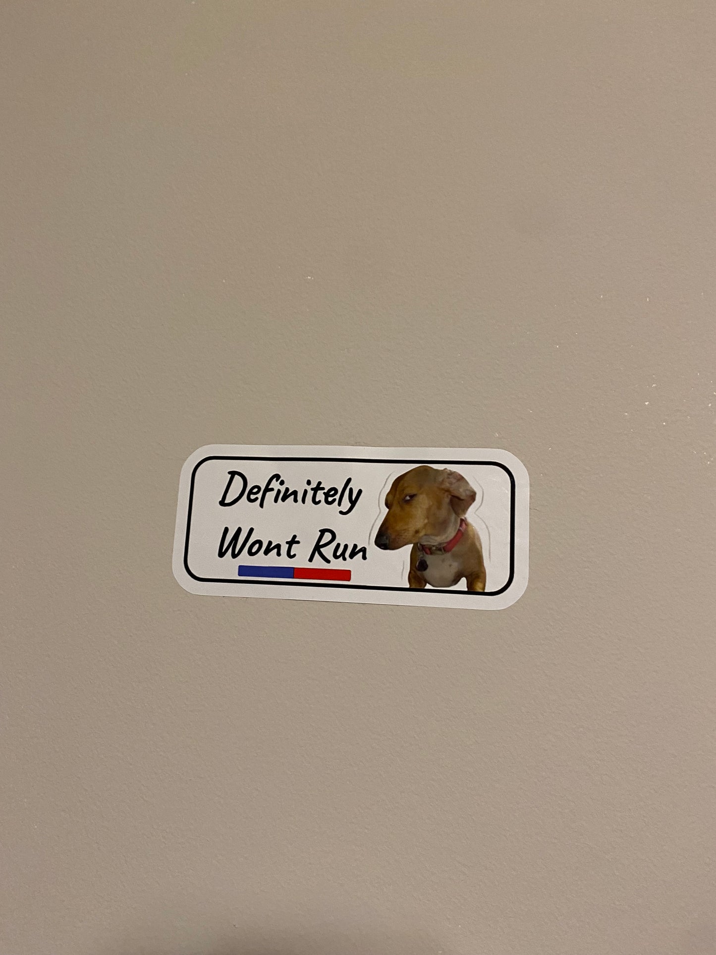 Definitely Won't Run-Sticker