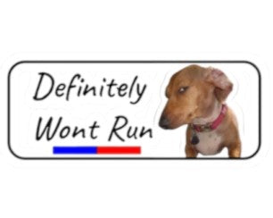 Definitely Won't Run-Sticker
