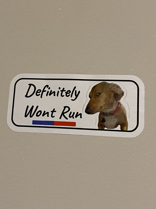 Definitely Won't Run-Sticker