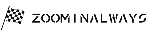 Zoomin logo